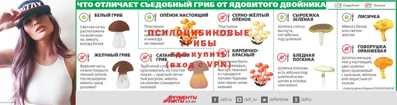 Галлюциногенные грибы Cubensis  hydra маркетплейс  Верхняя Салда  цены  